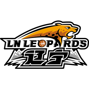 Shandong Hi-Speed Kirin